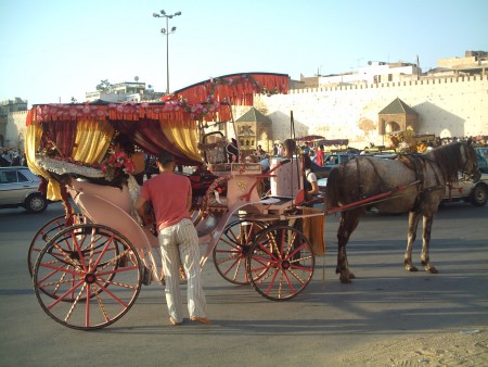 Meknès - Les calèches